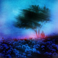 Distressor, Wisp – Tomorrow