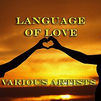 Přední strana obalu CD Language Of Love