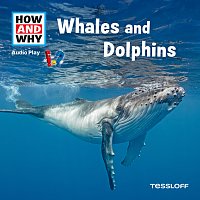 HOW AND WHY – Whales And Dolphins