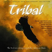 Různí interpreti – Earthbeat! Tribal Collection - 20th Anniversary Special