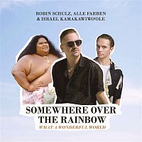 Robin Schulz & Alle Farben & Israel Kamakawiwo'ole – Somewhere Over the Rainbow / What a Wonderful World