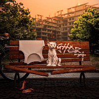 Gheba, Pave – Colpa Mia