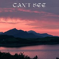 Přední strana obalu CD Can't See