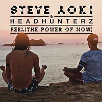 Steve Aoki & Headhunterz – Feel (The Power Of Now)