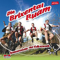 Die Brixental Buam – Sonnenschein und Volksmusik