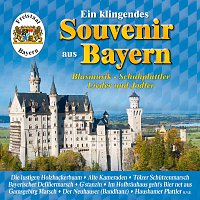 Různí interpreti – Ein klingendes Souvenir aus Bayern