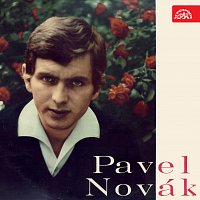 Pavel Novák – Malinká a další hity MP3
