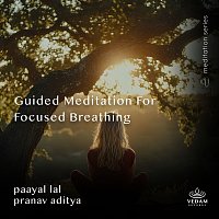 Přední strana obalu CD Guided Meditation for Focused Breathing