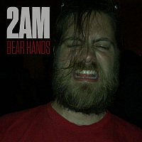 Přední strana obalu CD 2AM