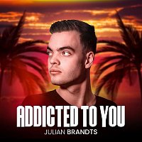Přední strana obalu CD Addicted To You