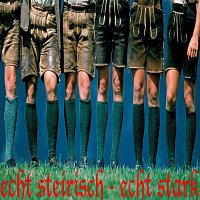 Různí interpreti – ECHT STEIRISCH - ECHT STARK, Vol. 1