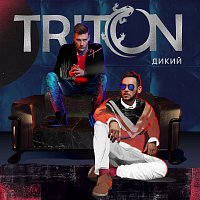 Přední strana obalu CD Dikij