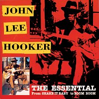 John Lee Hooker – The Essential