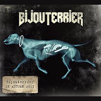 Bijouterrier – In Autumn 2013 MP3