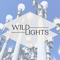 Sachin Ellis – Wild Lights