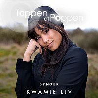 Various  Artists – Toppen Af Poppen Synger Kwamie Liv