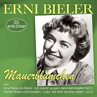 Přední strana obalu CD Mauerblümchen - 50 große Erfolge