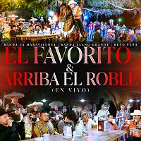 Banda La Maravillosa, Banda Llano Grande, Beto Pena – El Favorito & Arriba el Roble [En Vivo]