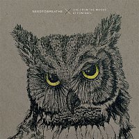 NEEDTOBREATHE – Live From The Woods
