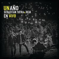 Un Ano [En Vivo]