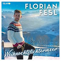 Přední strana obalu CD Weihnachtslichtermeer