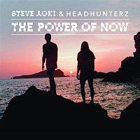Steve Aoki & Headhunterz – The Power of Now (Crystal Lake Remix)