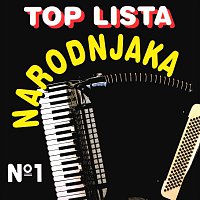 Různí interpreti – Top lista narodnjaka Vol.1