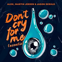Alok, Martin Jensen, Jason Derulo – Don’t Cry For Me [Acoustic]