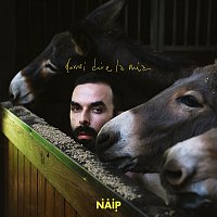 N.A.I.P. – Dovrei dire la mia