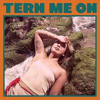 Vicky Farewell – Tern Me On [Slowed Down]