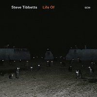 Steve Tibbetts – Life Of