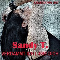 Sandy T. – Verdammt Ich Liebe Dich