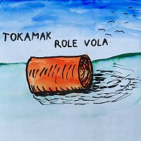 Tokamak – Role vola