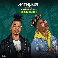Mthunzi, Mlindo The Vocalist – Baningi