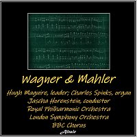 Přední strana obalu CD Wagner & Mahler