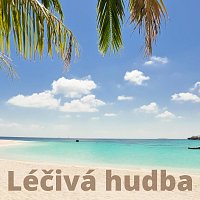 Relaxační Hudební Zóna – Léčivá hudba