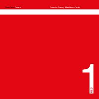 Přední strana obalu CD Protective Custody [Mark Broom Remix]