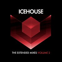 Přední strana obalu CD The Extended Mixes Vol. 2