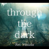 Rei Yasuda – through the dark -anime edit-