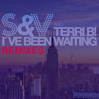 S&V, Terri B! – I've Been Waiting [Remixes]