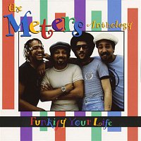 The Meters – Funkify Your Life:  The Meters Anthology