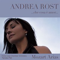 Che cosa e amor : Mozart Arias