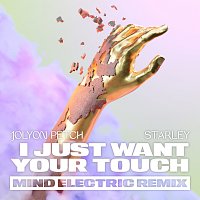 I Just Want Your Touch [Mind Electric Remix]
