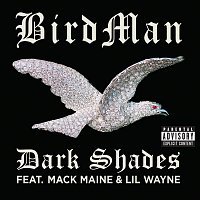 Birdman, Lil Wayne, Mack Maine – Dark Shades