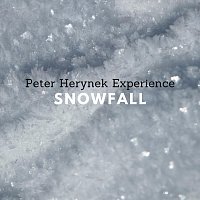 Peter Herynek Experience – Snowfall