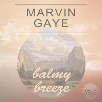 Marvin Gaye – Balmy Breeze Vol. 1
