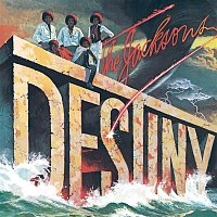 The Jacksons – DESTINY