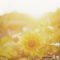 GReeeeN – Hanauta