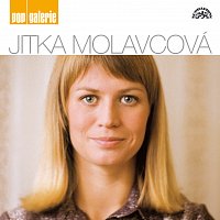 Jitka Molavcová – Pop galerie FLAC