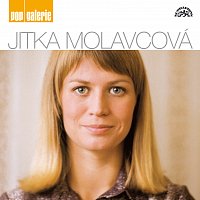 Jitka Molavcová – Pop galerie